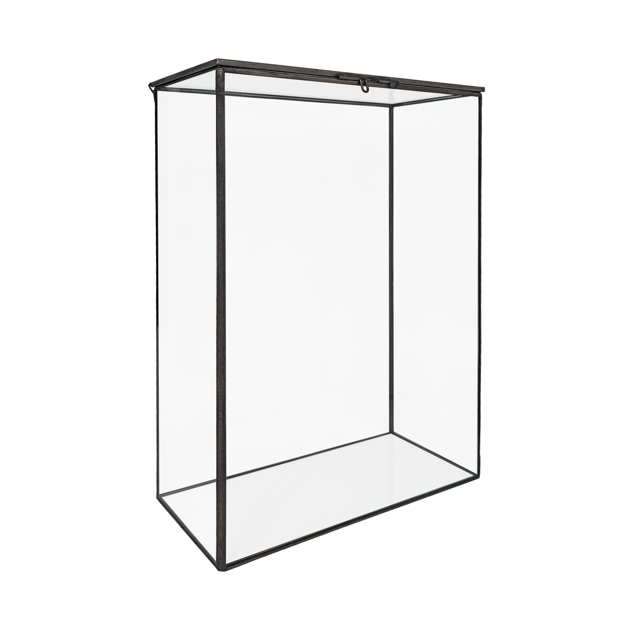 Bookshelf Plant Geometric Glass Vessel Container for Succulent Moss Plant Terrarium, 11 inch High