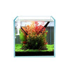 4 Gallon Cubic Rimless Frameless All Glass Aquarium, Low Iron Rimless Glass Tank, 25X25X25cm, 5mm Glass