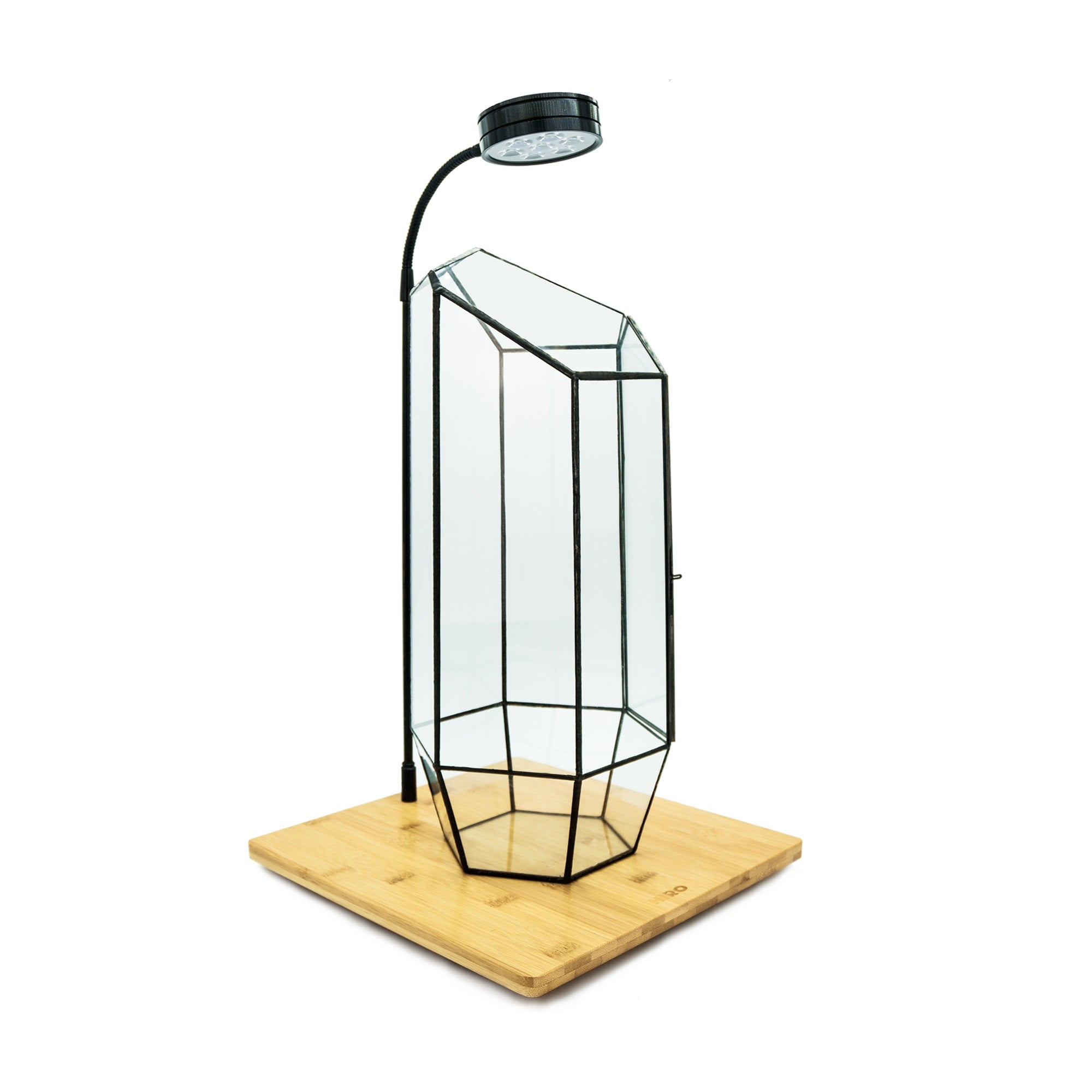 Indoor Plant Geometric High Glass Vessel Container for Succulent Moss Plant Terrarium, 15.75 inch High