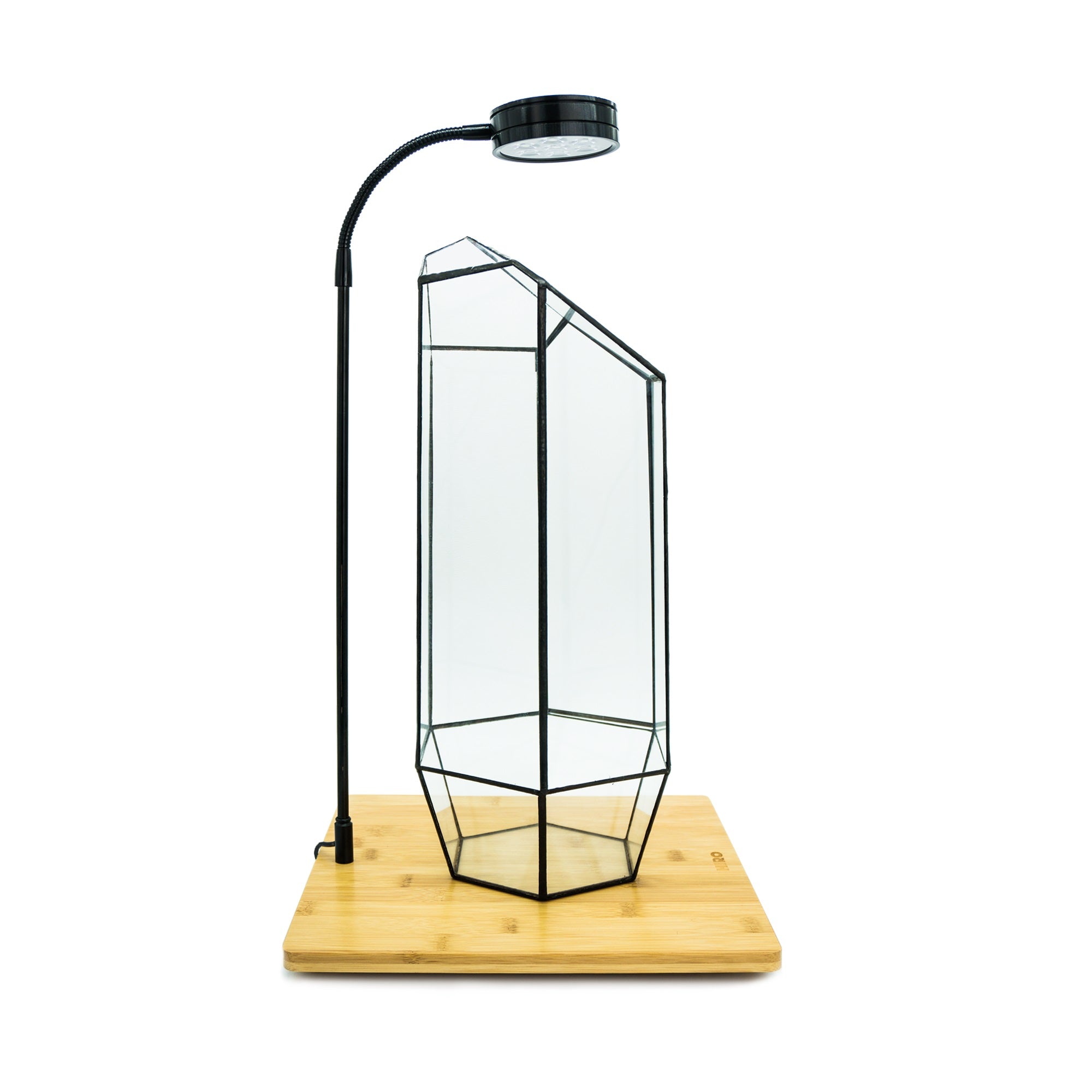 Indoor Plant Geometric High Glass Vessel Container for Succulent Moss Plant Terrarium, 15.75 inch High