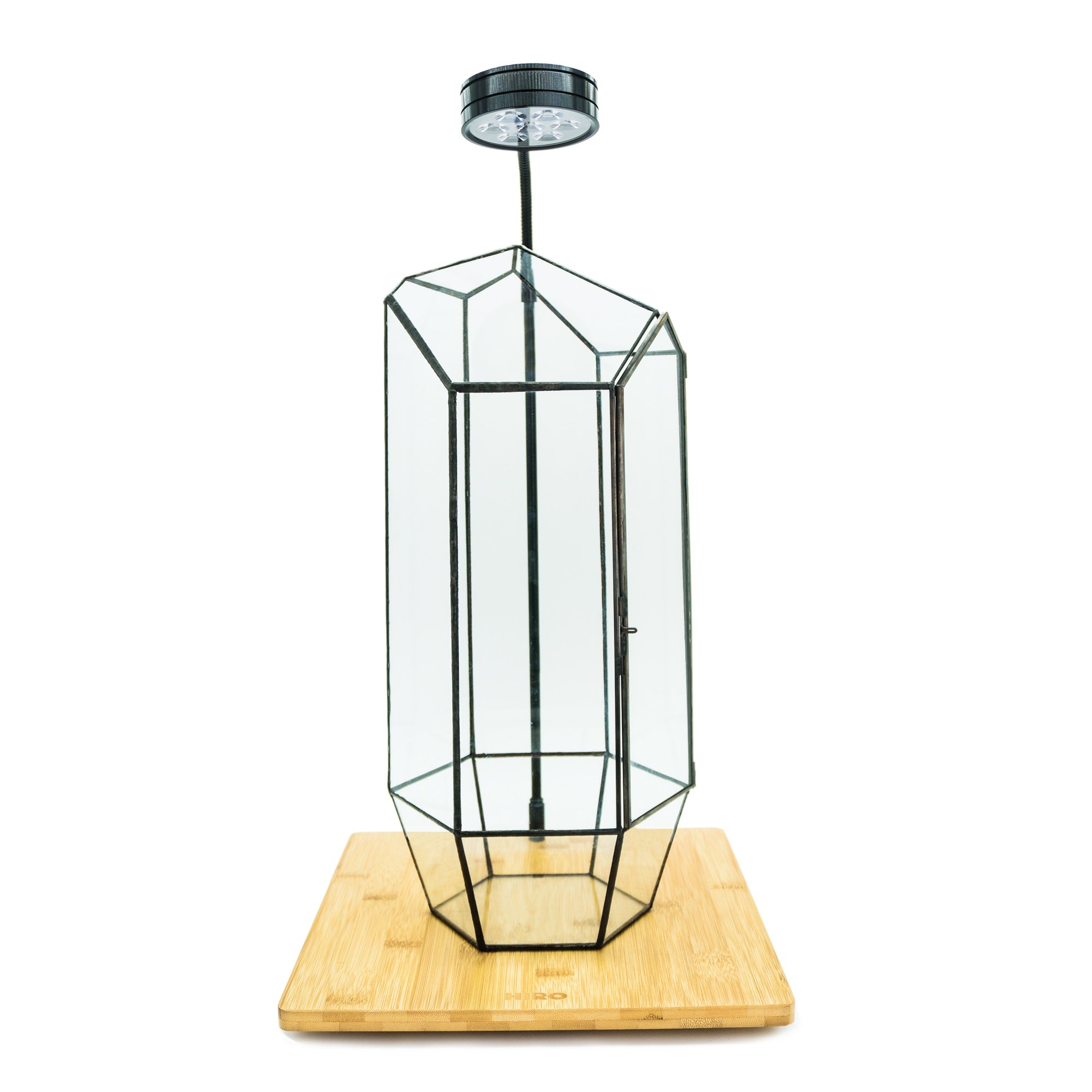 Indoor Plant Geometric High Glass Vessel Container for Succulent Moss Plant Terrarium, 15.75 inch High