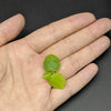6 Mini Amazon Frogbit + 6 Water Spangles Combo, Aquarium Floating Plants