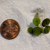6 Mini Amazon Frogbit + 6 Water Spangles Combo, Aquarium Floating Plants