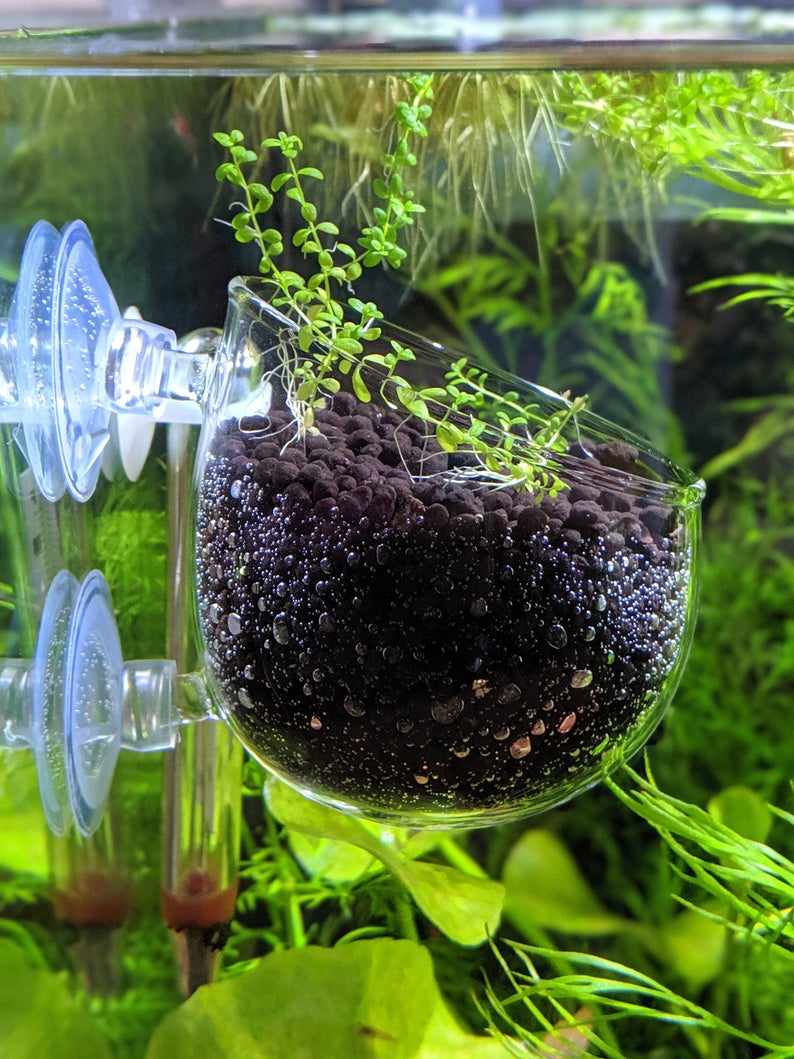 Crystal Glass Aquatic Cup Pot for Fish Tank Aquarium