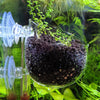 Crystal Glass Aquatic Cup Pot for Fish Tank Aquarium