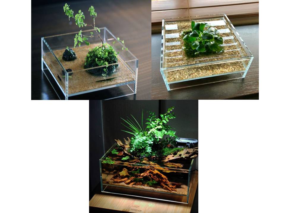 HIRO Aquatics Nano Shallow Rimless Tank, Two Size Options, for Wabikusa, Little Pond, Terra base & Nano Terrarium