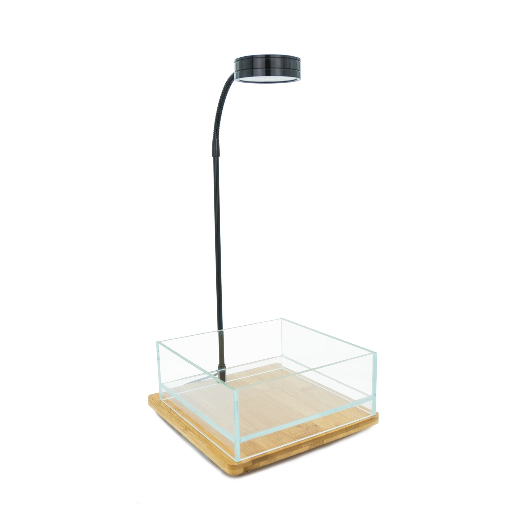 HIRO Aquatics Nano Shallow Rimless Tank, Two Size Options, for Wabikusa, Little Pond, Terra base & Nano Terrarium
