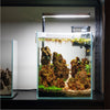5 Gallon Nano Tall Rimless Frameless All Glass Aquarium, Low Iron Rimless Glass Tank, 30X25X25cm, 5mm Glass
