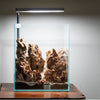 5 Gallon Nano Tall Rimless Frameless All Glass Aquarium, Low Iron Rimless Glass Tank, 30X25X25cm, 5mm Glass